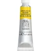 Winsor & Newton Professional Revival akvarelfarve 5 ml Aureolin Hue 417