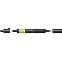 Winsor & Newton Promarker Leaf Green (G258)